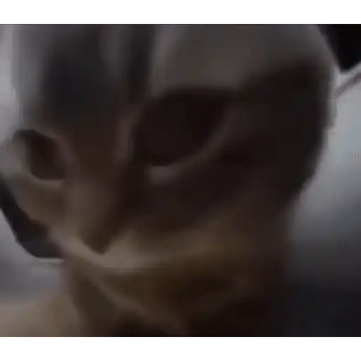 ملصق