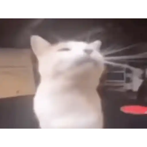 ملصق
