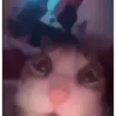 ملصق