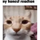 ملصق