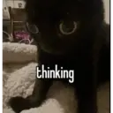 ملصق