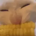 ملصق