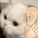 ملصق