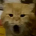 ملصق