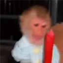 ملصق