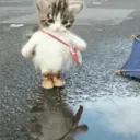 ملصق