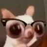 ملصق