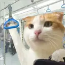 ملصق