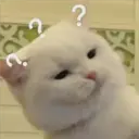 ملصق
