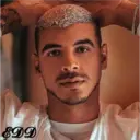 ملصق