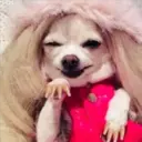 ملصق