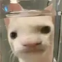 ملصق