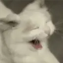 ملصق
