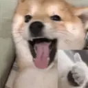 ملصق