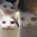ملصق