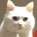 ملصق