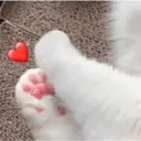 ملصق