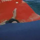 ملصق