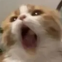 ملصق
