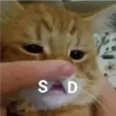 ملصق