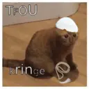 Çıkartma
