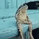 Çıkartma