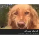 ملصق