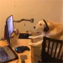 ملصق