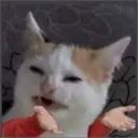 ملصق