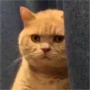 ملصق