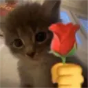 ملصق