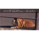 ملصق