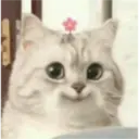 ملصق