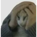 ملصق