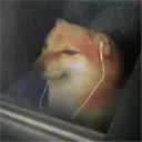 ملصق