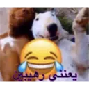 ملصق