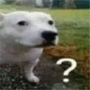 ملصق