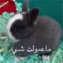 ملصق