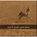 ملصق