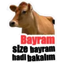 Çıkartma