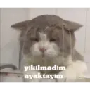 Çıkartma