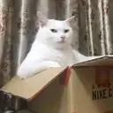 Çıkartma