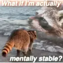 ملصق