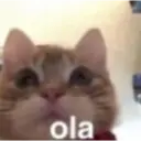 Çıkartma