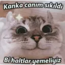 Çıkartma