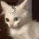 Çıkartma
