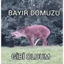 Çıkartma