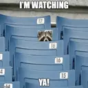 ملصق