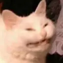 Çıkartma