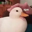 Çıkartma